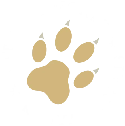 Natural World Kenya Safaris